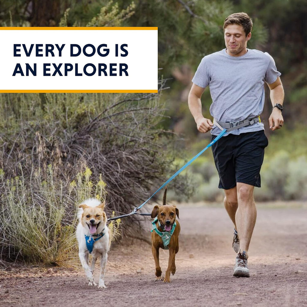 Ruffwear, Double Track Coupler, Double Leash for Two Dogs, Premium Heavy Duty Dual Splitter with 360 degrees Lockable Swivel No Tangle, Shock-Absorbing Stretch Webbing for Walking & Hiking, Basalt Gray - Image 9