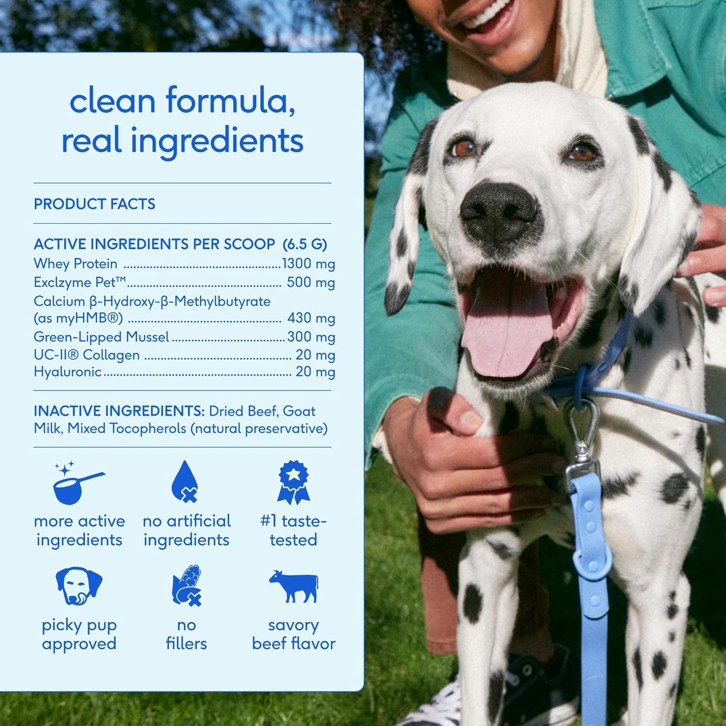 Native Pet Hip and Joint powder ingredients label and details