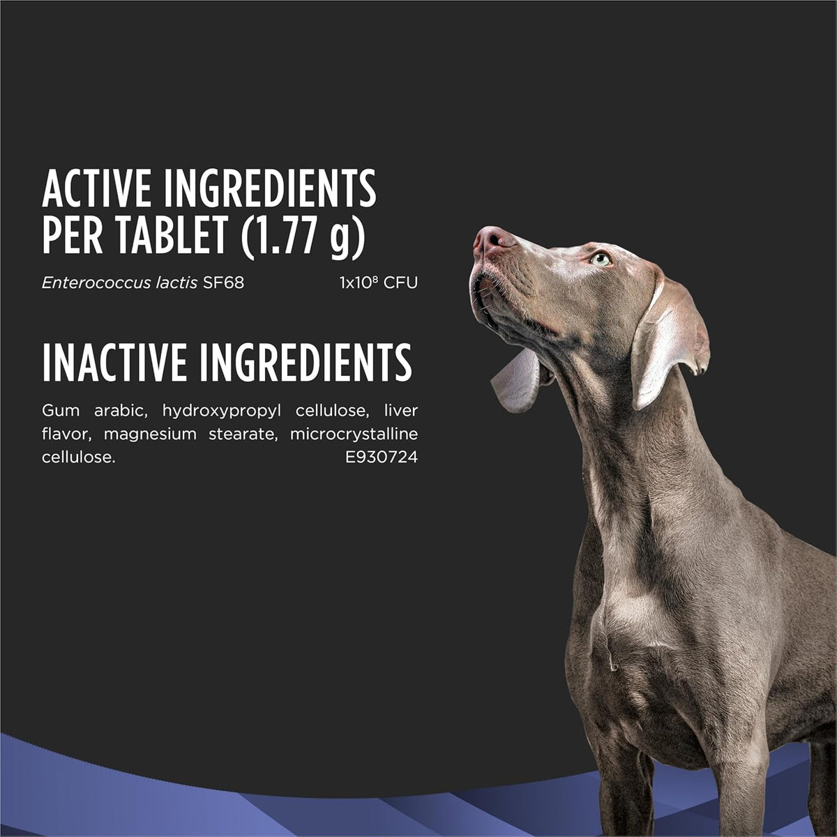 Purina Pro Plan FortiFlora daily probiotic chewables for puppies and adult dogs gut health