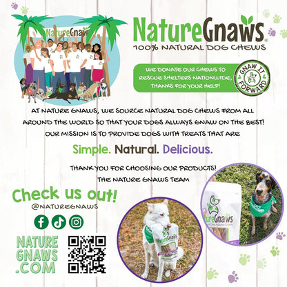 Nature Gnaws Beef Tendons Dog Chews imported premium low odor dog bones