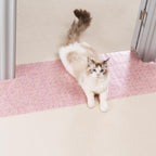Uross Carpet Protector for Pets - Cat Carpet Protector for Doorway, Anti Scratch Under Door Cat Scratch Protector Mat, Easy to Cut Plastic Carpet Scratch Stopper Guard 3.6FT x 3PCS - Image 14