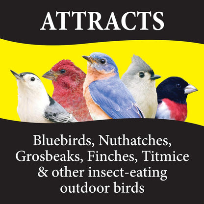Dried insects and berries in Wild Delight bird food mix