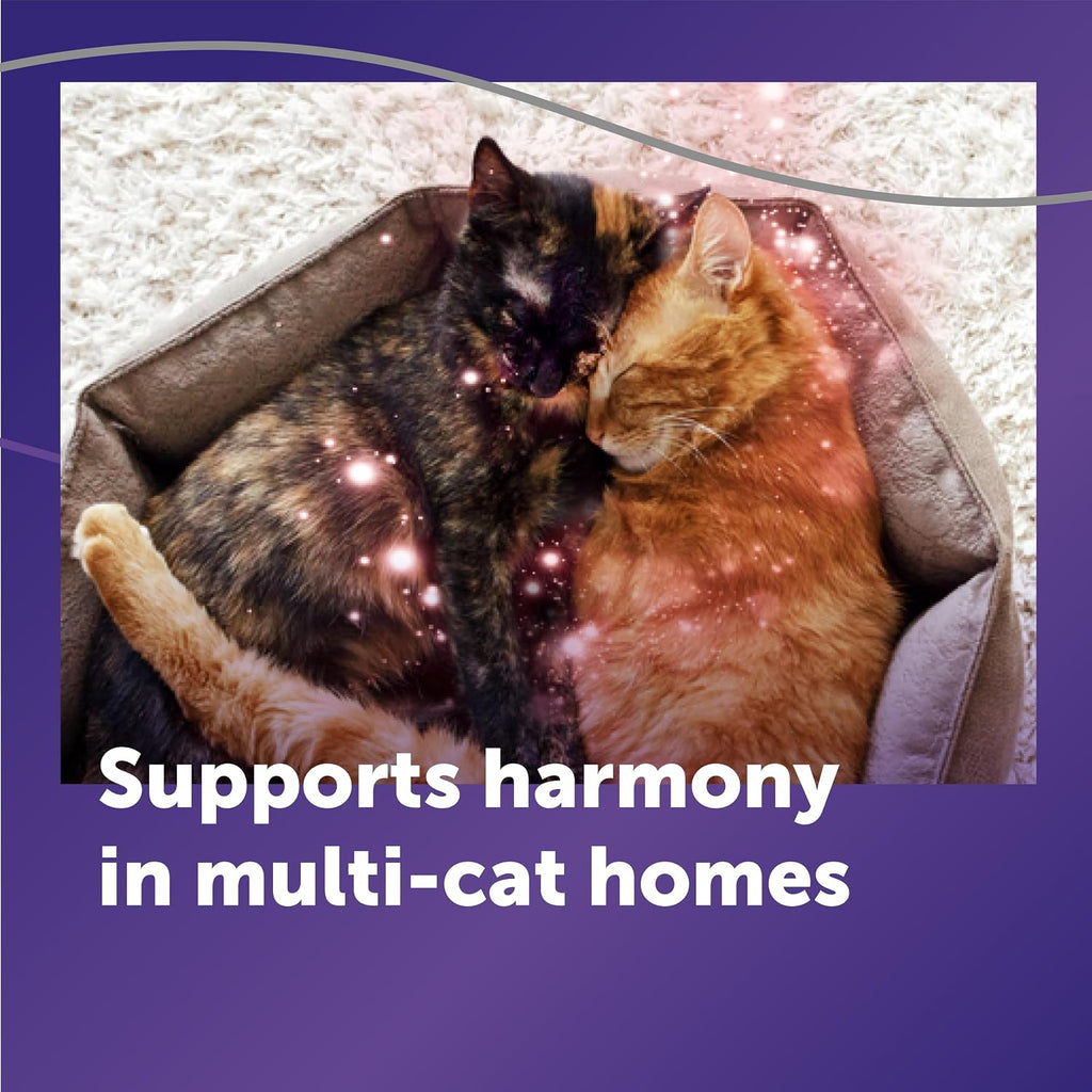 Advanced feline pheromone complex packaging close up