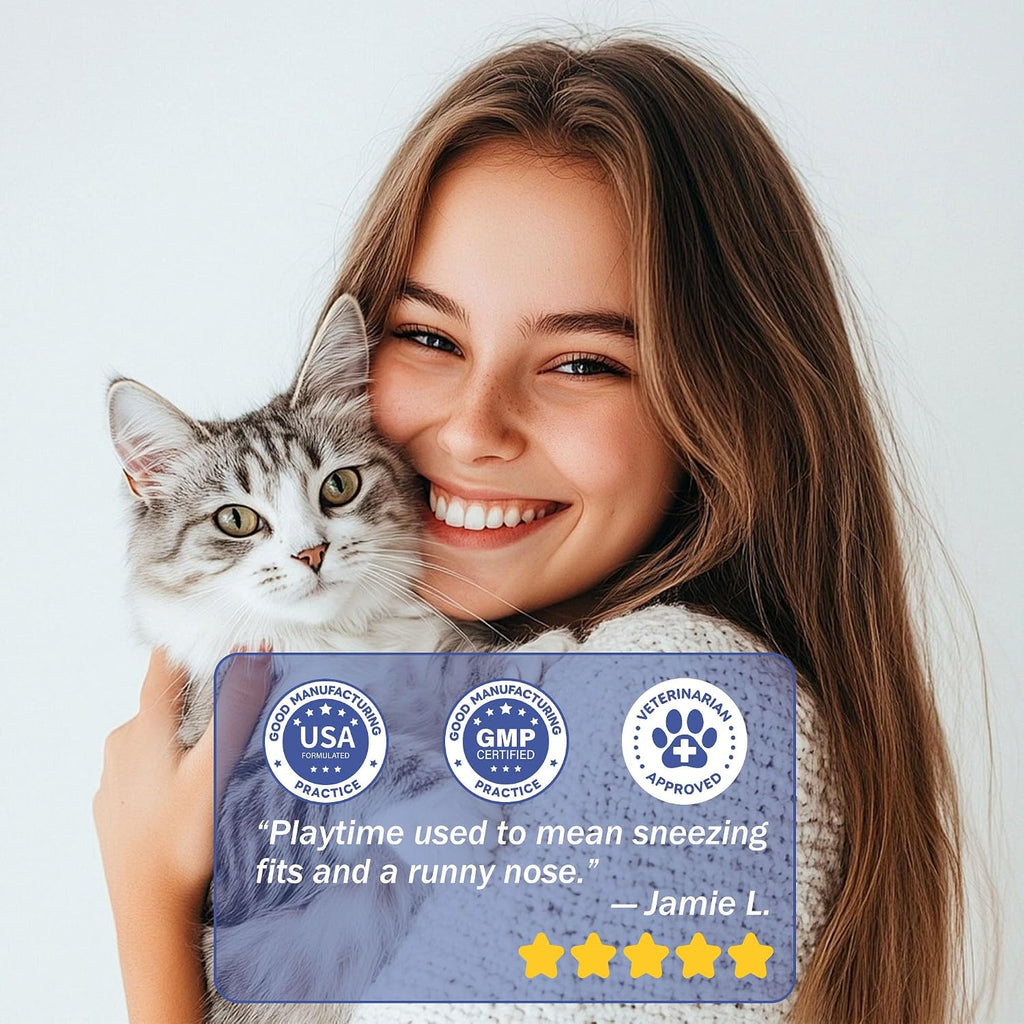 Allersearch cat allergy relief powder being mixed into wet cat food
