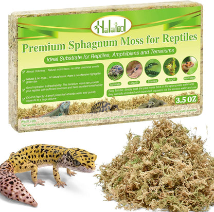 Halatool 6OZ Natural Sphagnum Moss Substrate for Reptiles - Terrarium Bedding with 72H Moisture Retention, Safe for Bearded Dragons, Geckos & Snake Shedding - Image 9