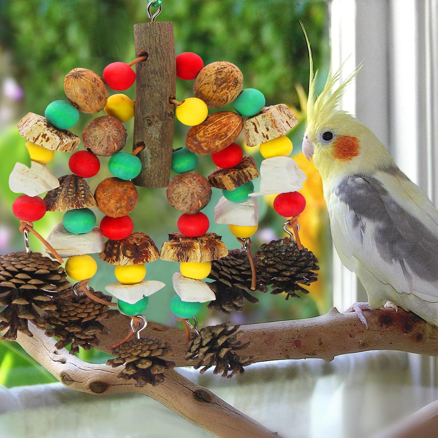 Premium imported parrot cage play gym attachment for small and medium birds