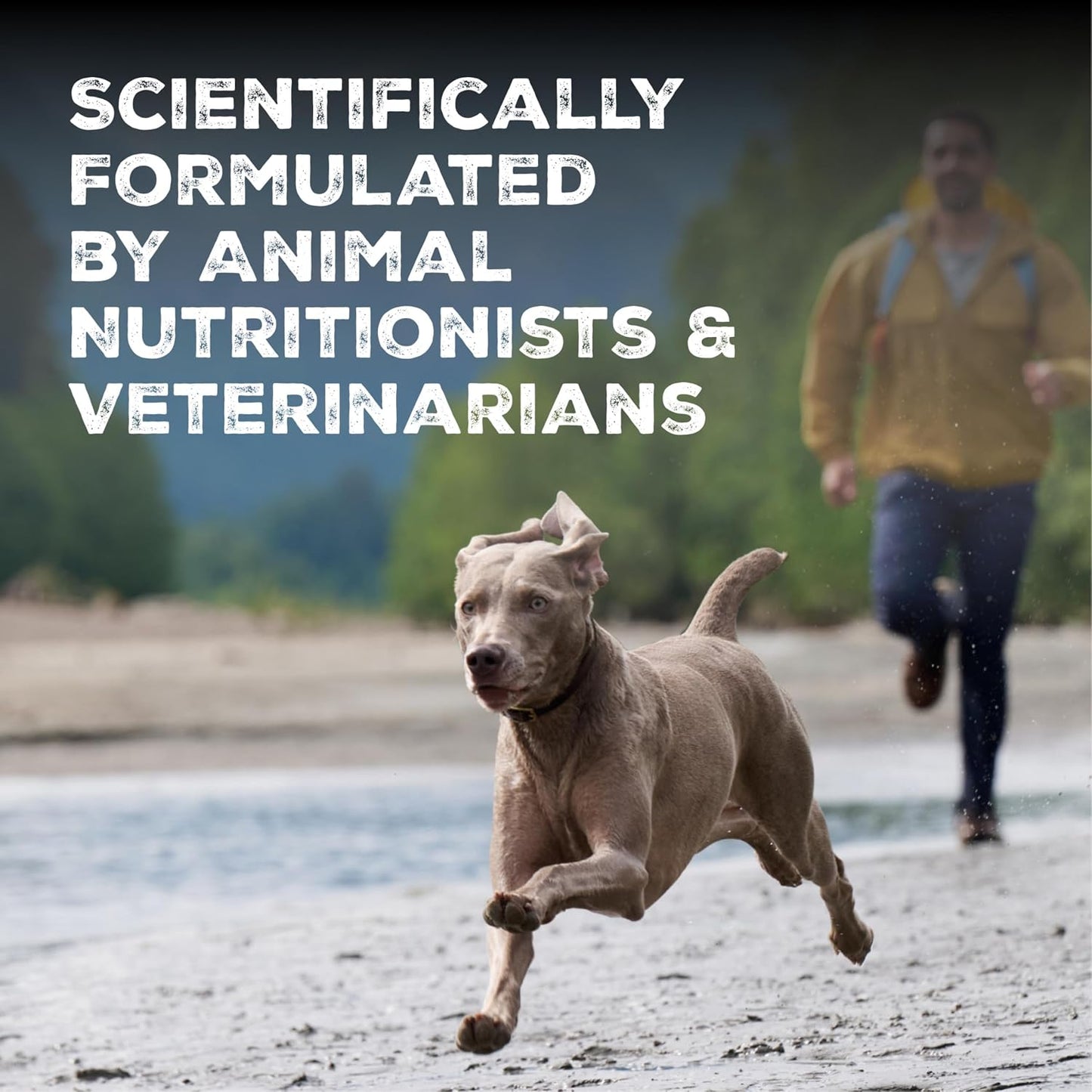 Bite sized grain free salmon dog treats for training and rewards back panel ingredients list