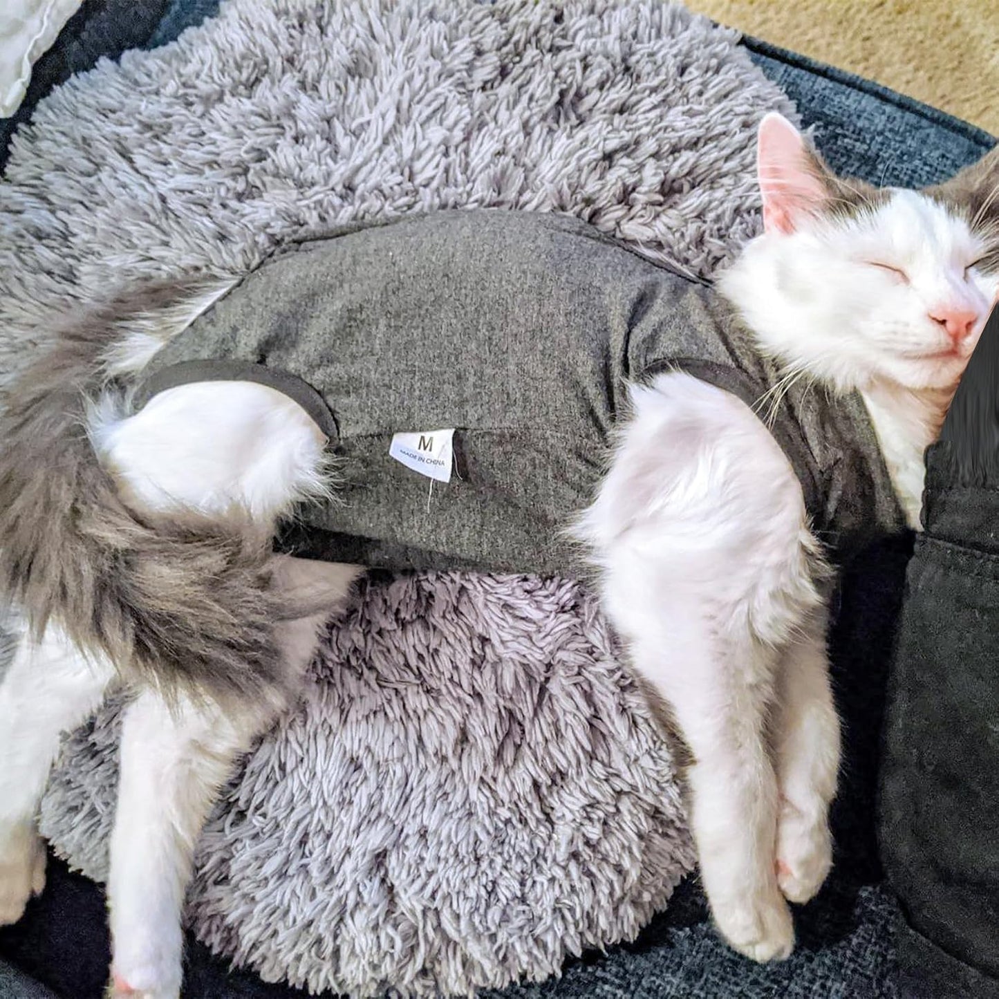 Doton cone alternative apparel protecting a cat abdominal wound area.