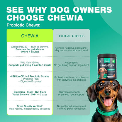 Vet formulated dog chew treats designed for yeast balance and immune defense.