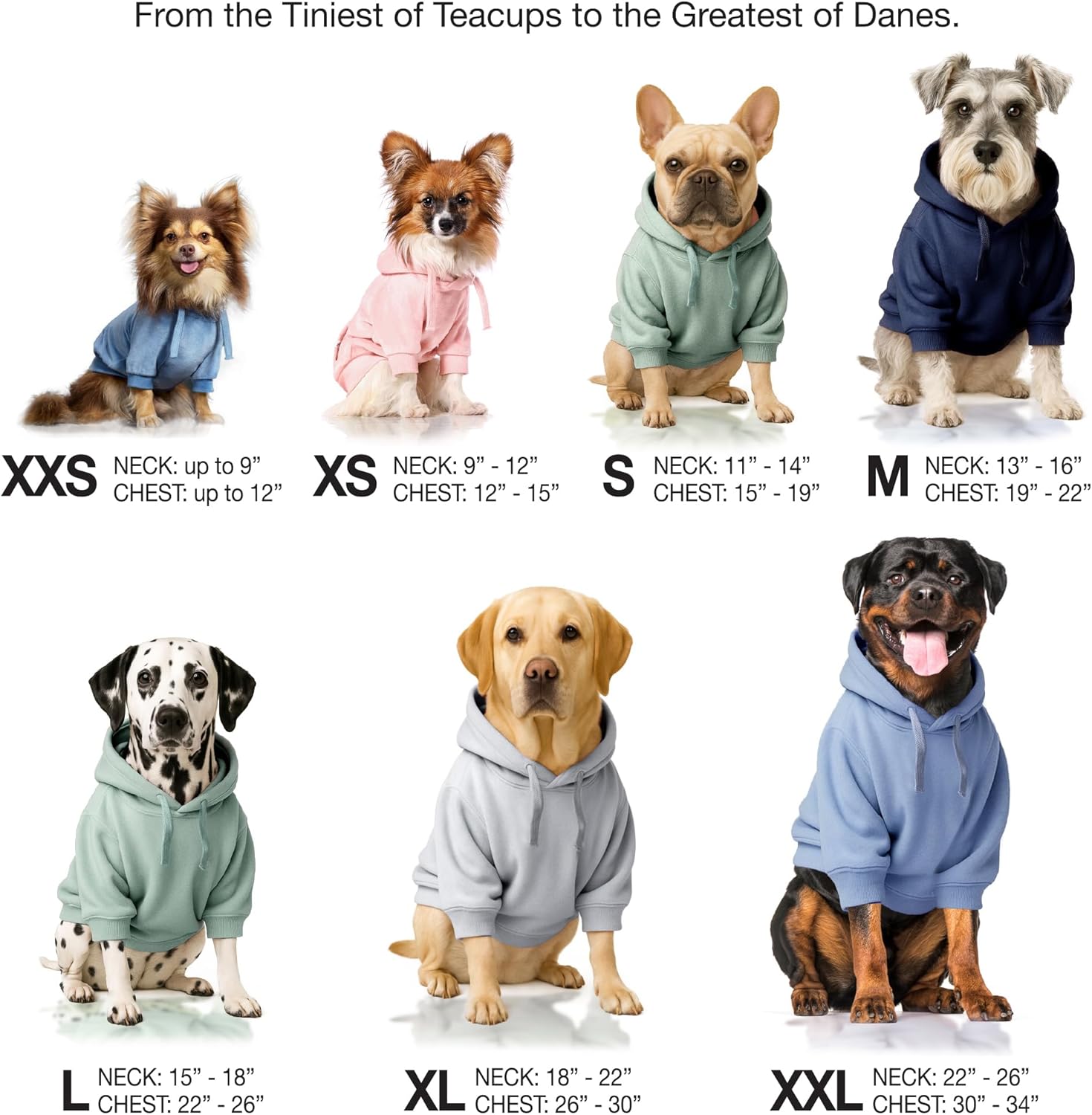 Pet Passion imported designer puppy jacket side angle product view
