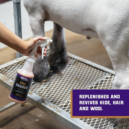 Weaver Livestock ProCharge conditioner for livestock hide hair and wool restoration