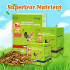 High protein poultry feed supplement in container
