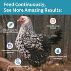 2LB Dried Mealworms for Chickens - 52% Protein for Growth - Image 3