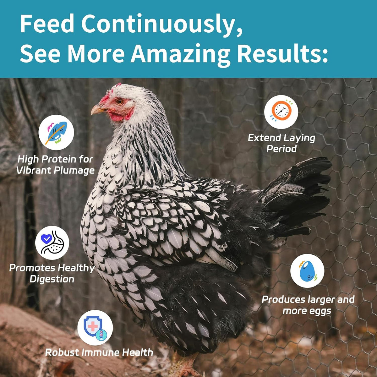 2LB Dried Mealworms for Chickens - 52% Protein for Growth - Image 3