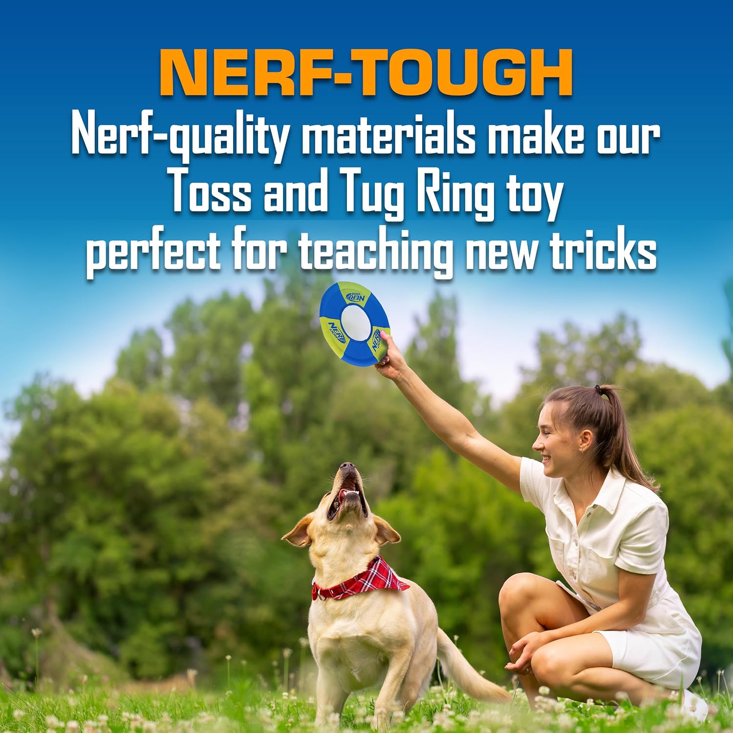 Durable water-resistant Nerf Dog ring toy floating in water