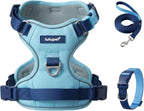 Lulupet adjustable dog collar and leash set detail
