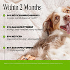 Pet Honesty probiotics for dogs packaging highlighting NASC quality seal and premium ingredients.