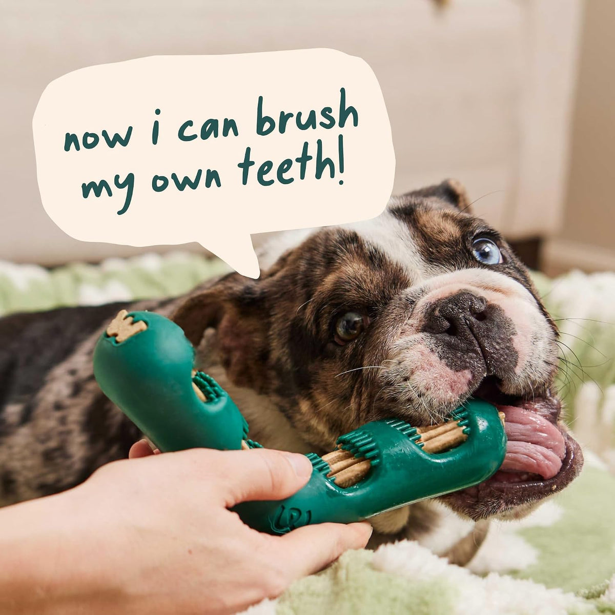 Detailed view of internal bristles on Woof toothbrush toy