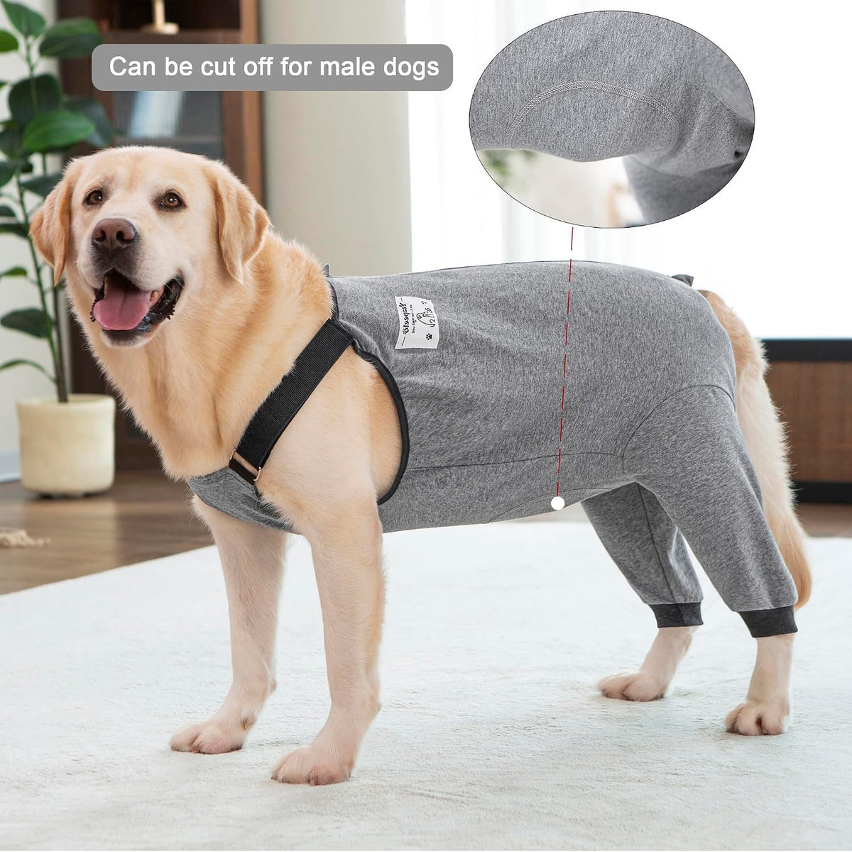 Underbelly view of dog recovery garment showing tailorable area for male dogs.