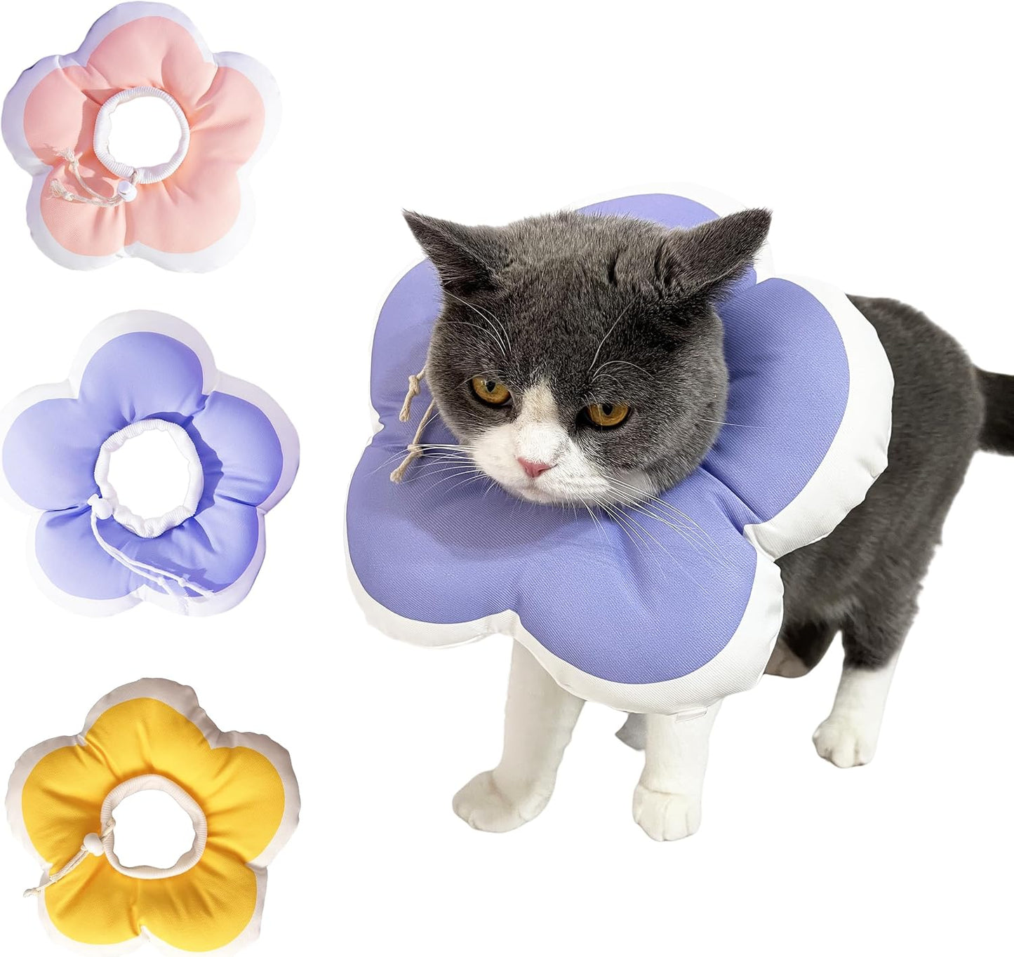 Water resistant cat collar being wiped clean with a cloth
