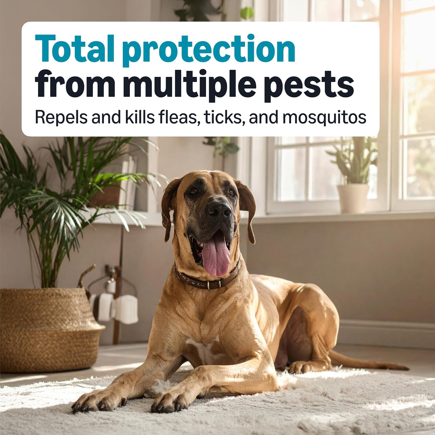 USA imported waterproof flea and tick prevention drops for dogs over fifty five pounds.