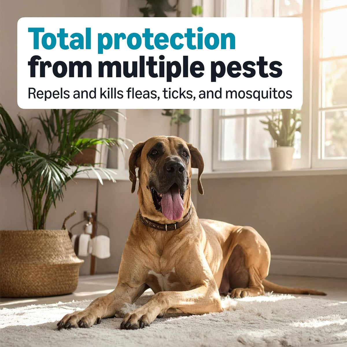 USA imported waterproof flea and tick prevention drops for dogs over fifty five pounds.