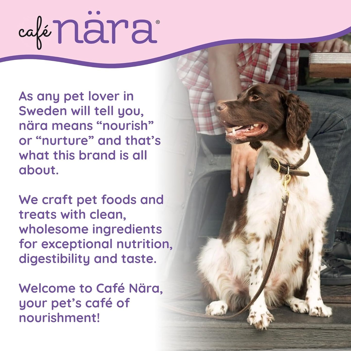 Back label view of CafÃ© Nara lamb recipe dog food listing wholesome ingredients