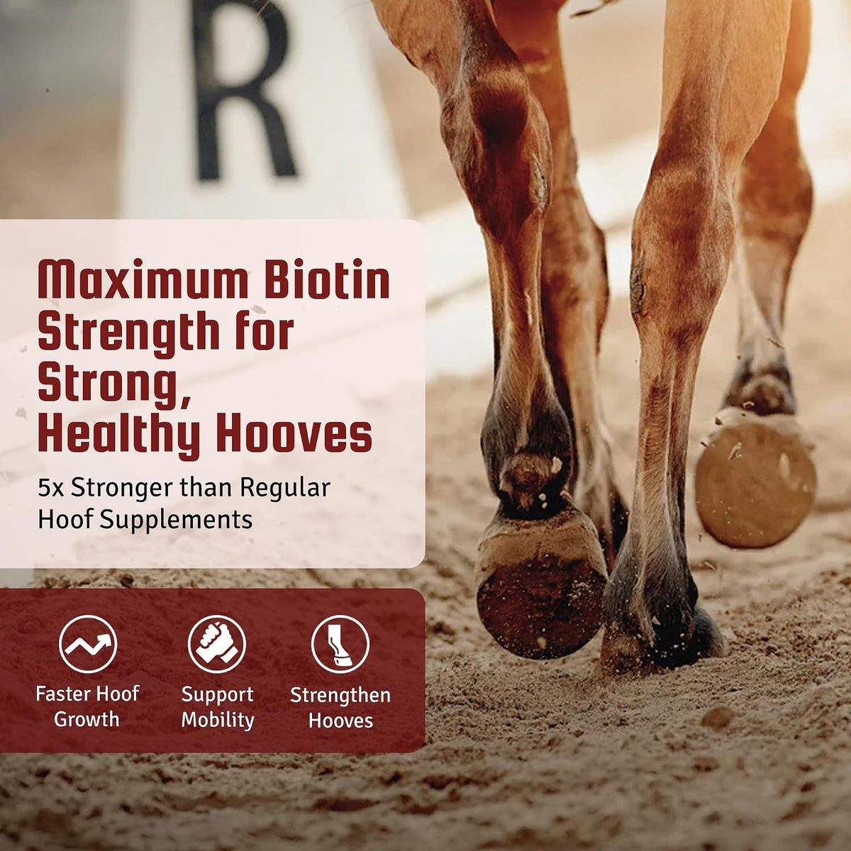 Horse Guard hoof health supplement ten pound bag label information