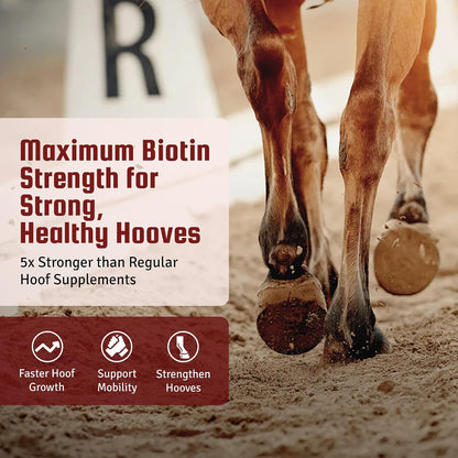 Horse Guard hoof health supplement ten pound bag label information