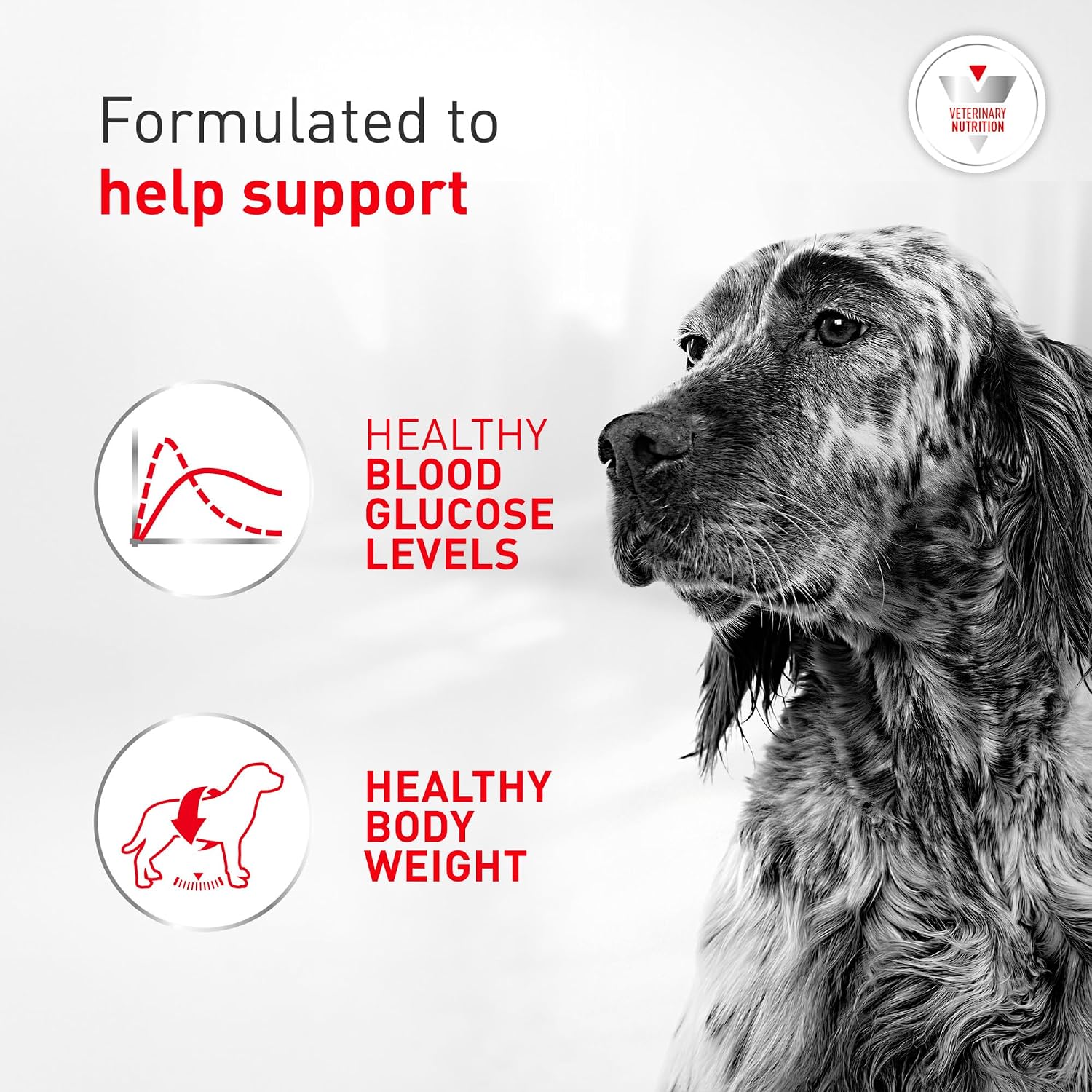 USA imported Royal Canin veterinary diet for diabetic dogs