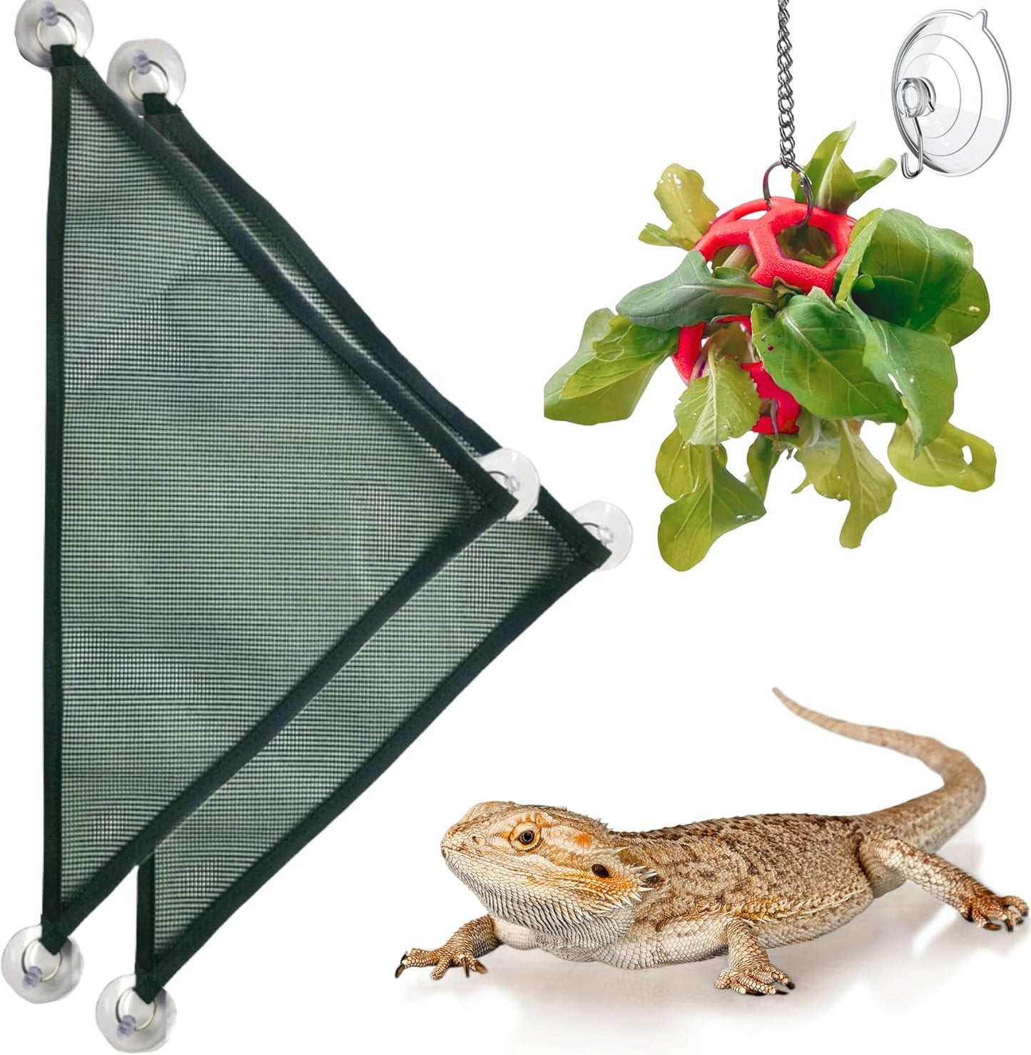 A small lizard approaching the green plastic feeder ball to nibble on fresh elevated greens inside its enclosure