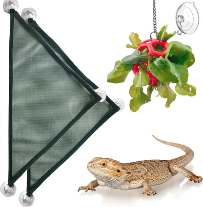 A small lizard approaching the green plastic feeder ball to nibble on fresh elevated greens inside its enclosure