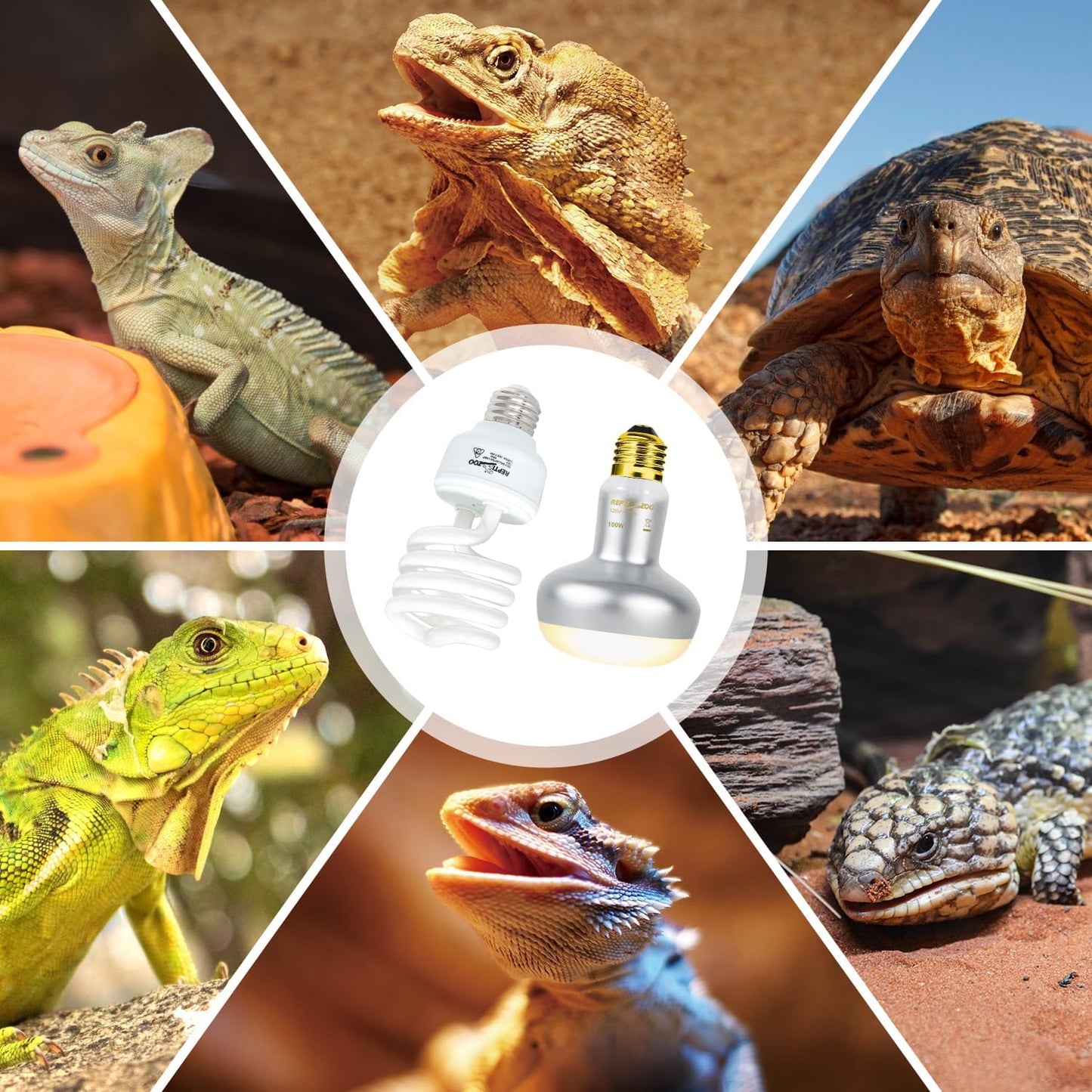 The complete imported dual pack reptile heat spot and UV bulb set unboxed.