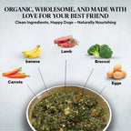 Healthy Dogma dehydrated dog food texture closeup