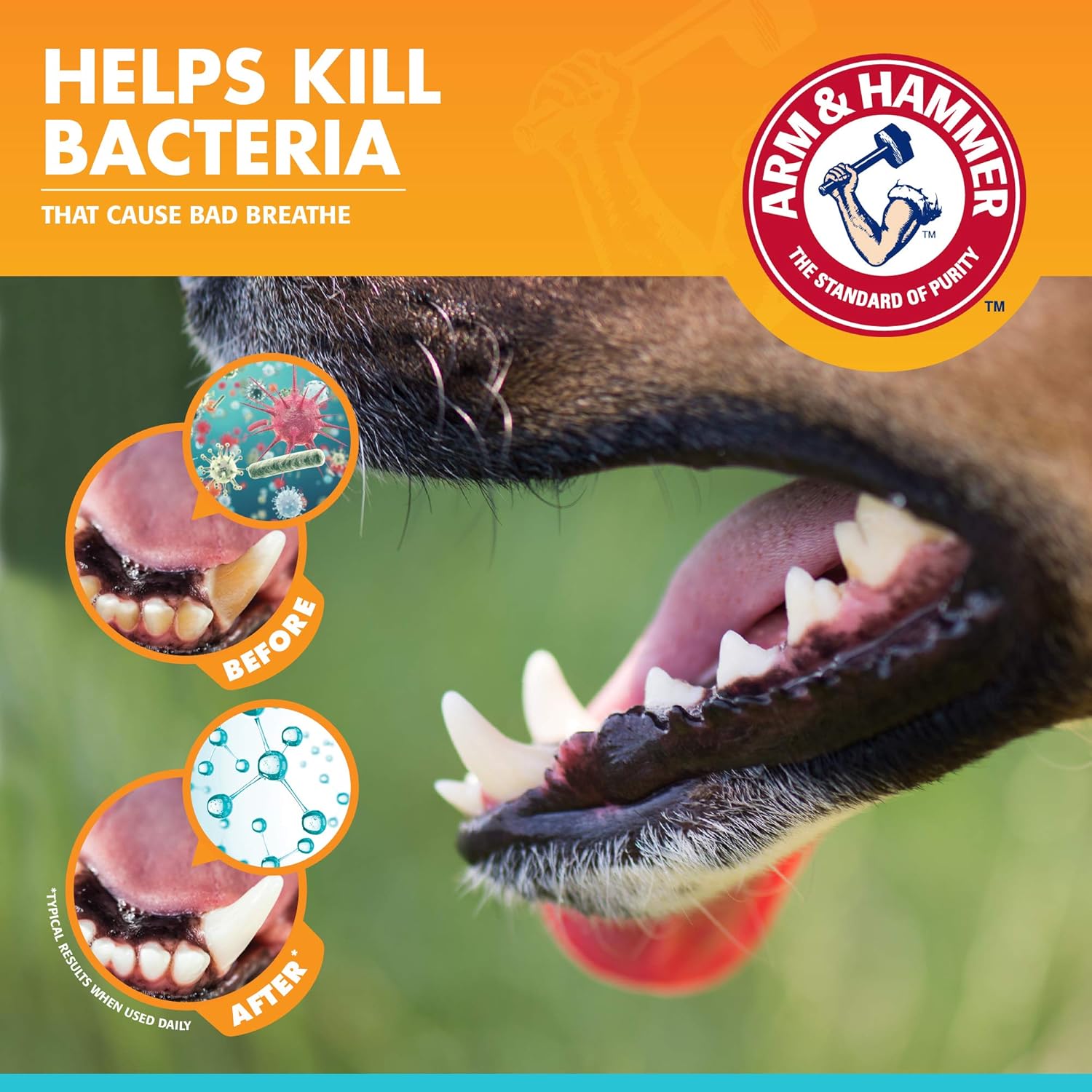 Soft finger brush for dog teeth cleaning from Arm and Hammer