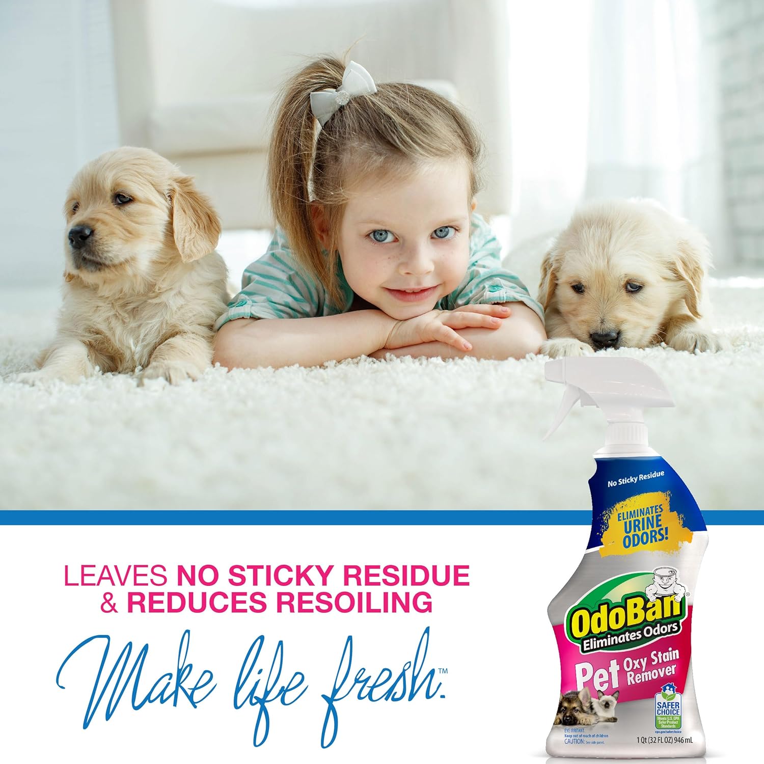 Using Odoban Pet Solutions Oxy Stain Remover on carpet