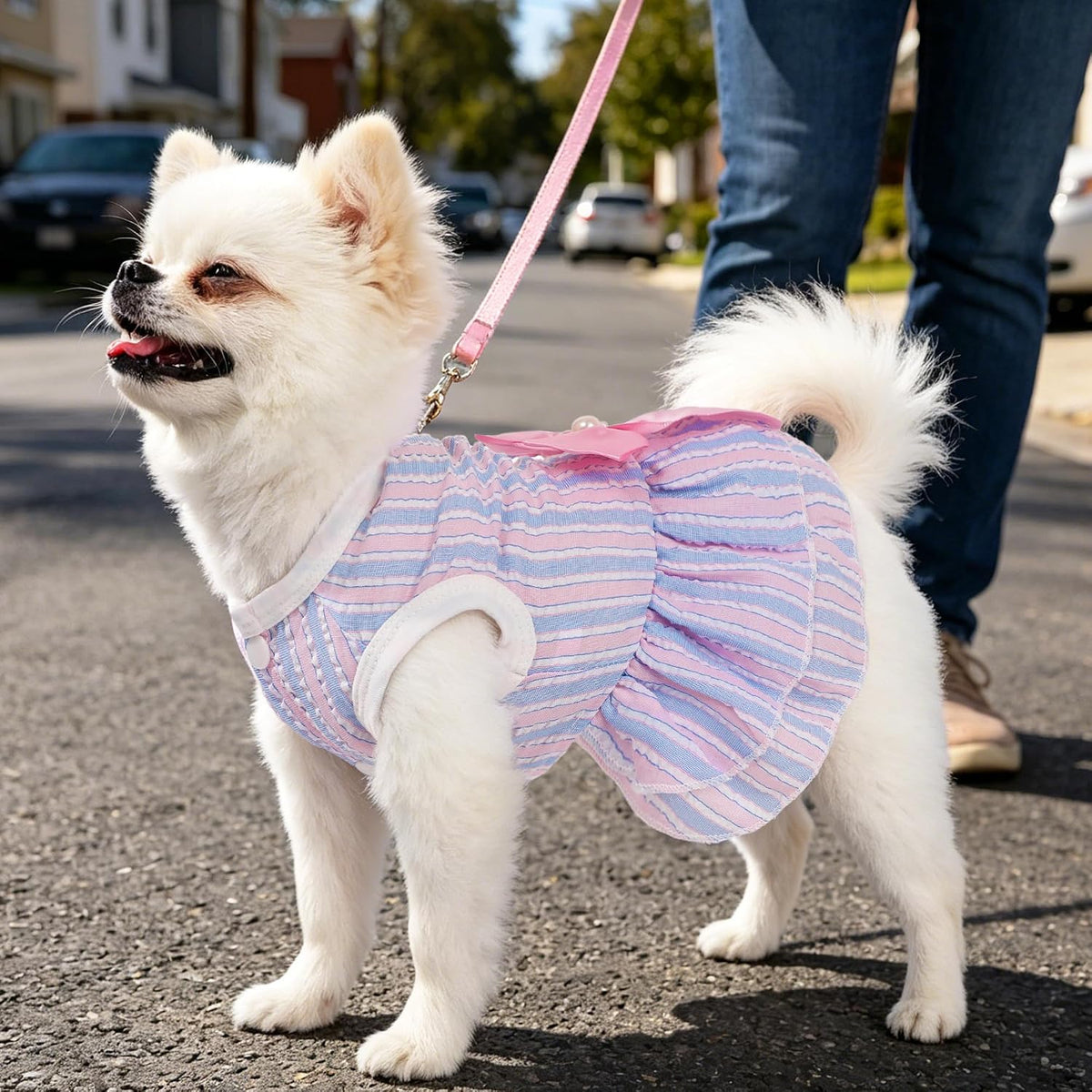 Pawchie brand small dog fashion dresses laid flat showing the full two piece set bundle
