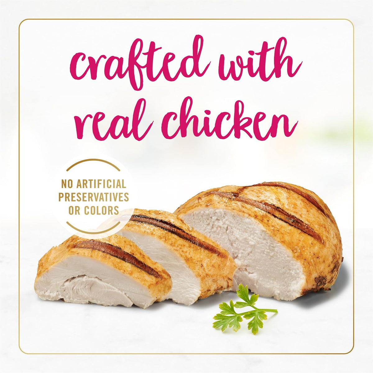 Close up of smooth chicken pate texture in a pet bowl