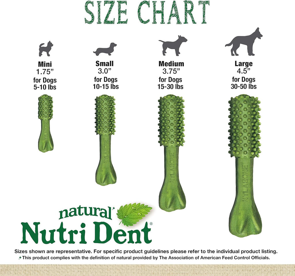 USA made Nylabone Nutri Dent dog treats box showing veterinarian recommended seal