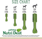 USA made Nylabone Nutri Dent dog treats box showing veterinarian recommended seal