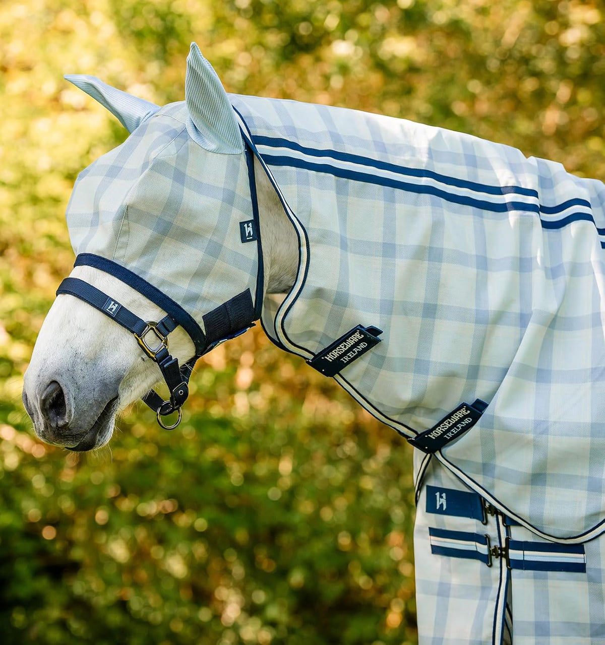 Straight front closure and leg arches on pony sheet