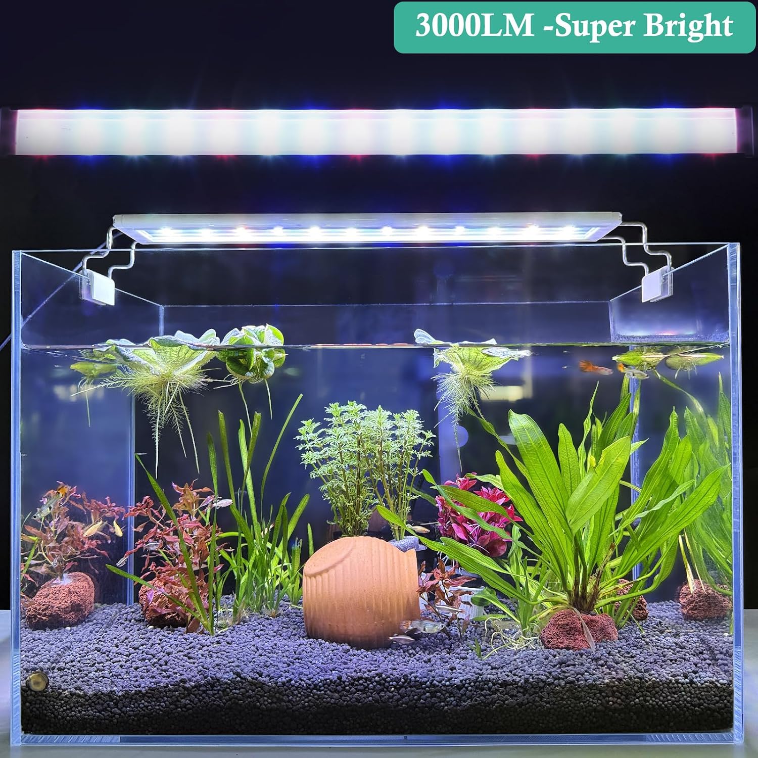 Hitop LED aquarium light showing RGB color display