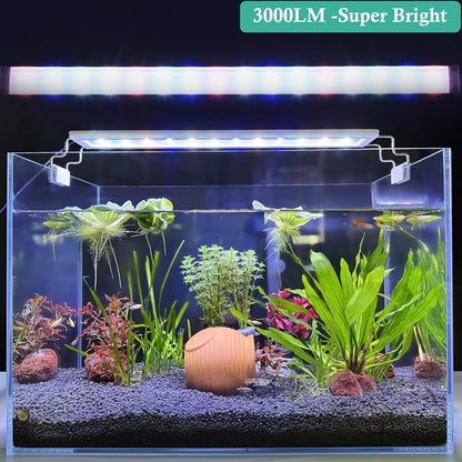 Hitop LED aquarium light showing RGB color display