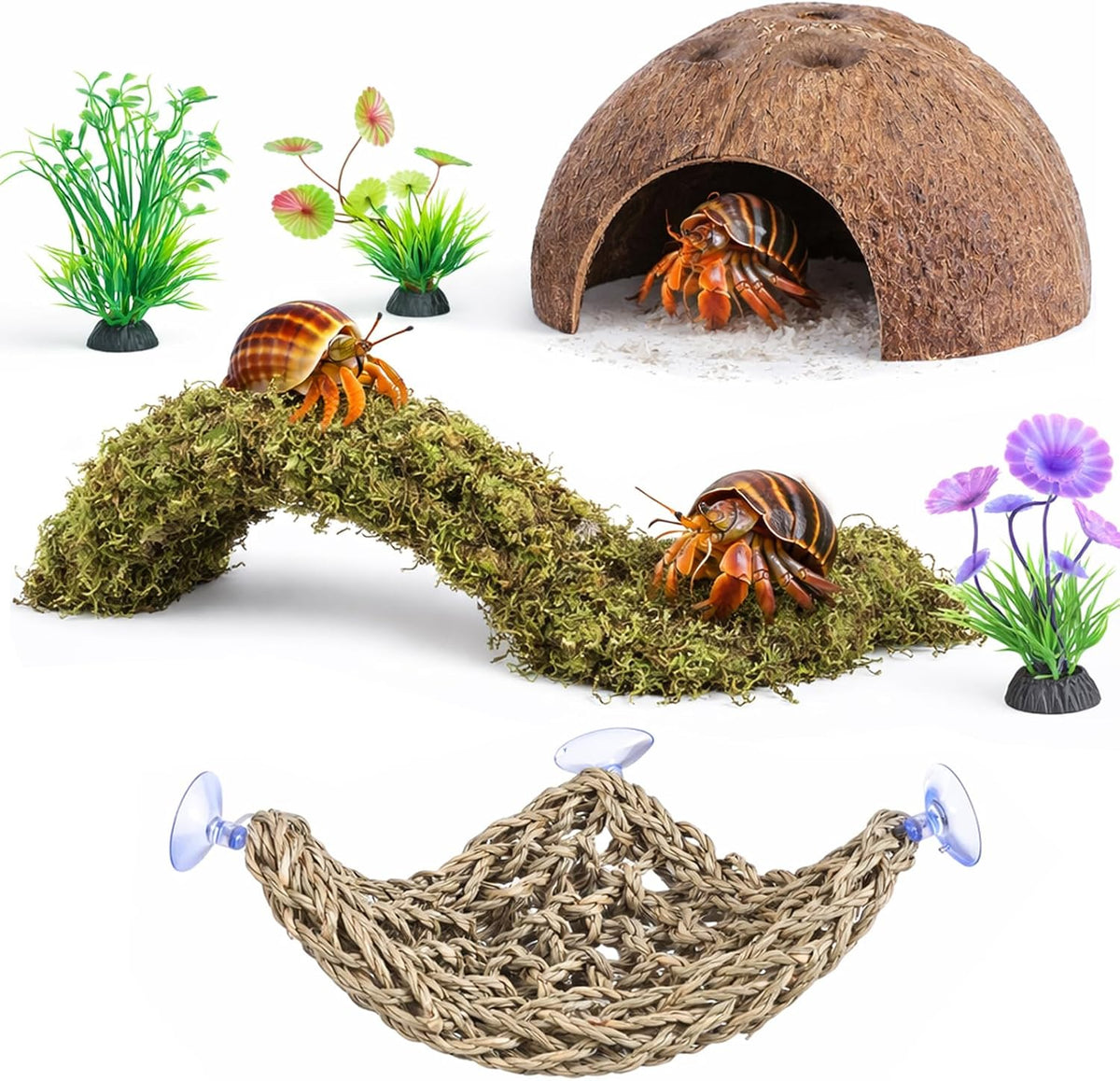 Hercocci hermit crab 6 piece habitat kit front view accessories