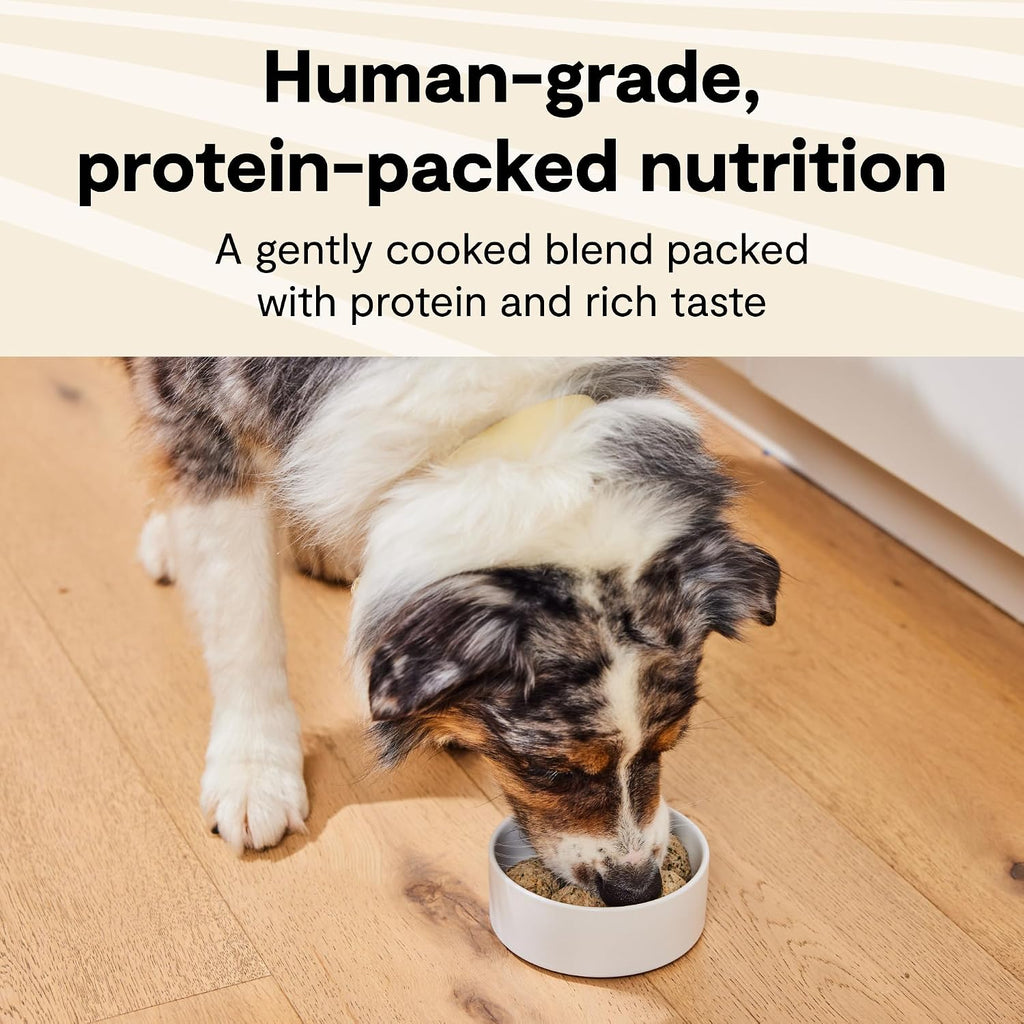 Open Farm, Puppy Recipe, Grain-Free Freshly Crafted Dog Food, 16oz Pouch (Pack of 16) - Image 2