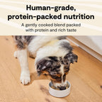 Open Farm, Puppy Recipe, Grain-Free Freshly Crafted Dog Food, 16oz Pouch (Pack of 16) - Image 2