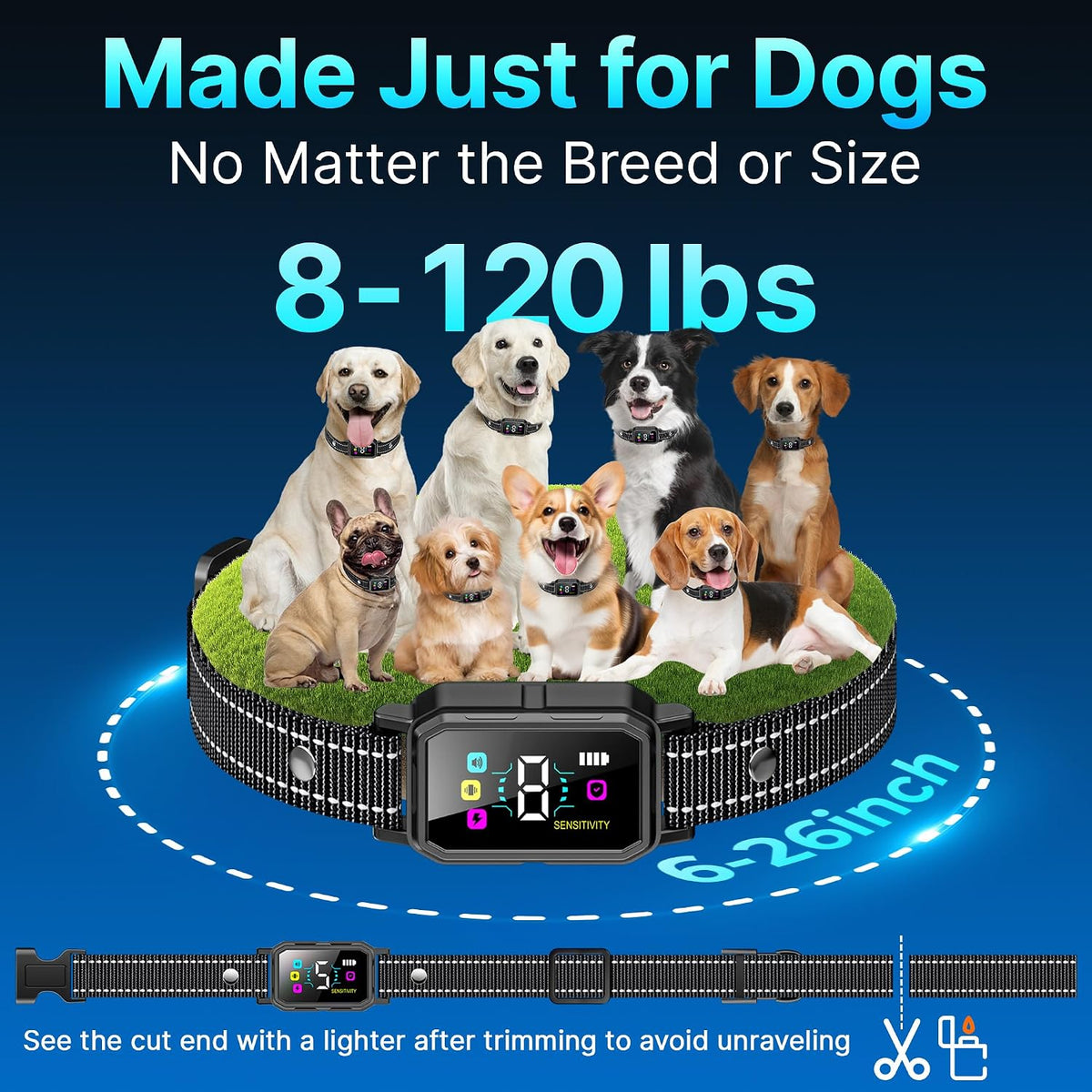 Complete 3-pack set of DcvPlan dog training collars