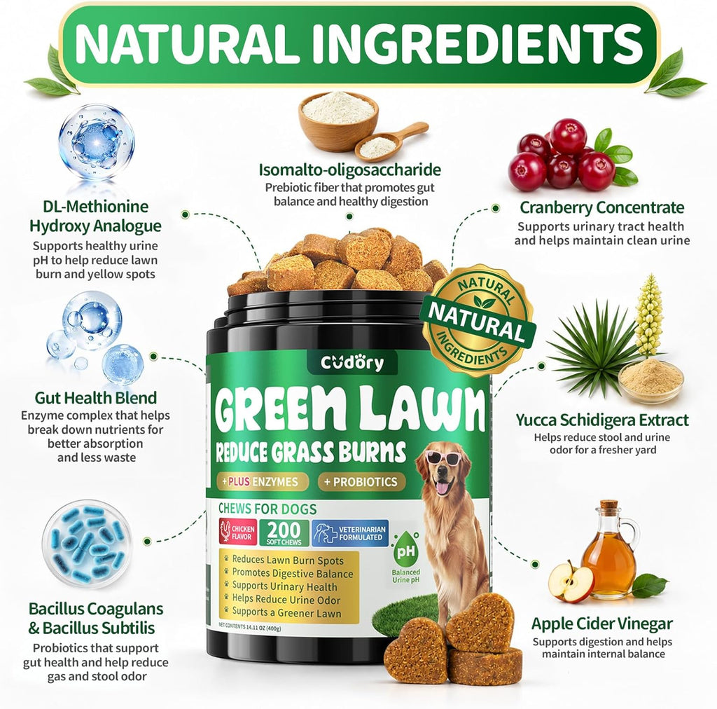 Kinpur Pet Care green grass chews for female dog pee spot prevention.