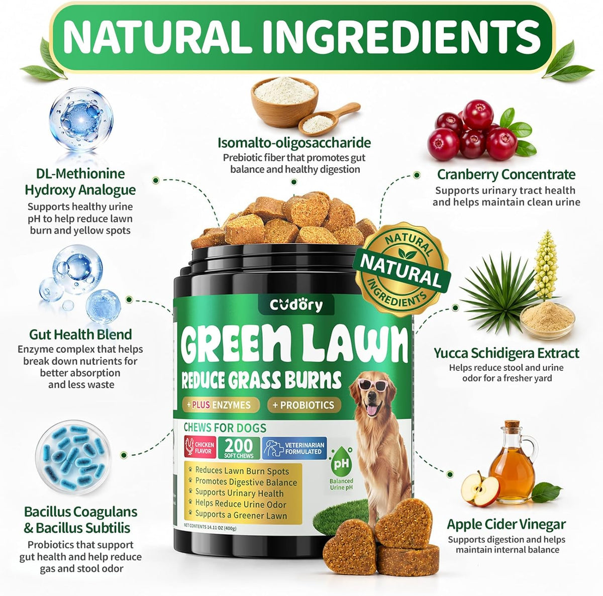 Kinpur Pet Care green grass chews for female dog pee spot prevention.