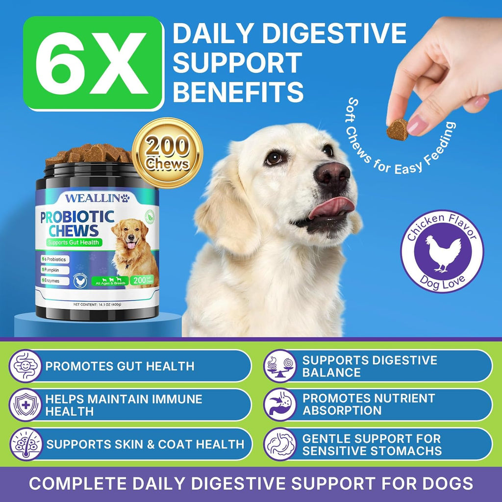 Weallin dog probiotic supplements jar showing chicken flavor treats for pet diarrhea relief.